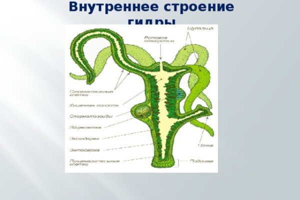 Через какой браузер заходить на кракен