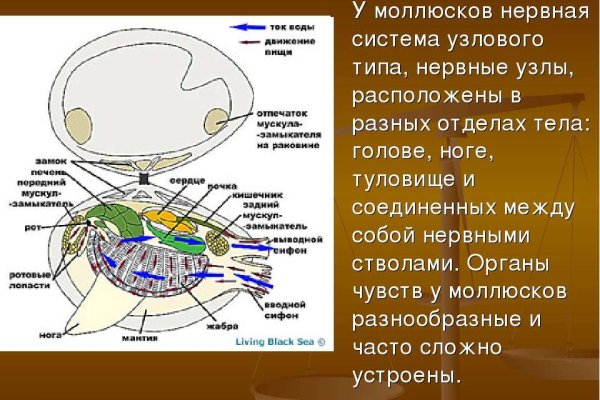 Кракен торговая площадка